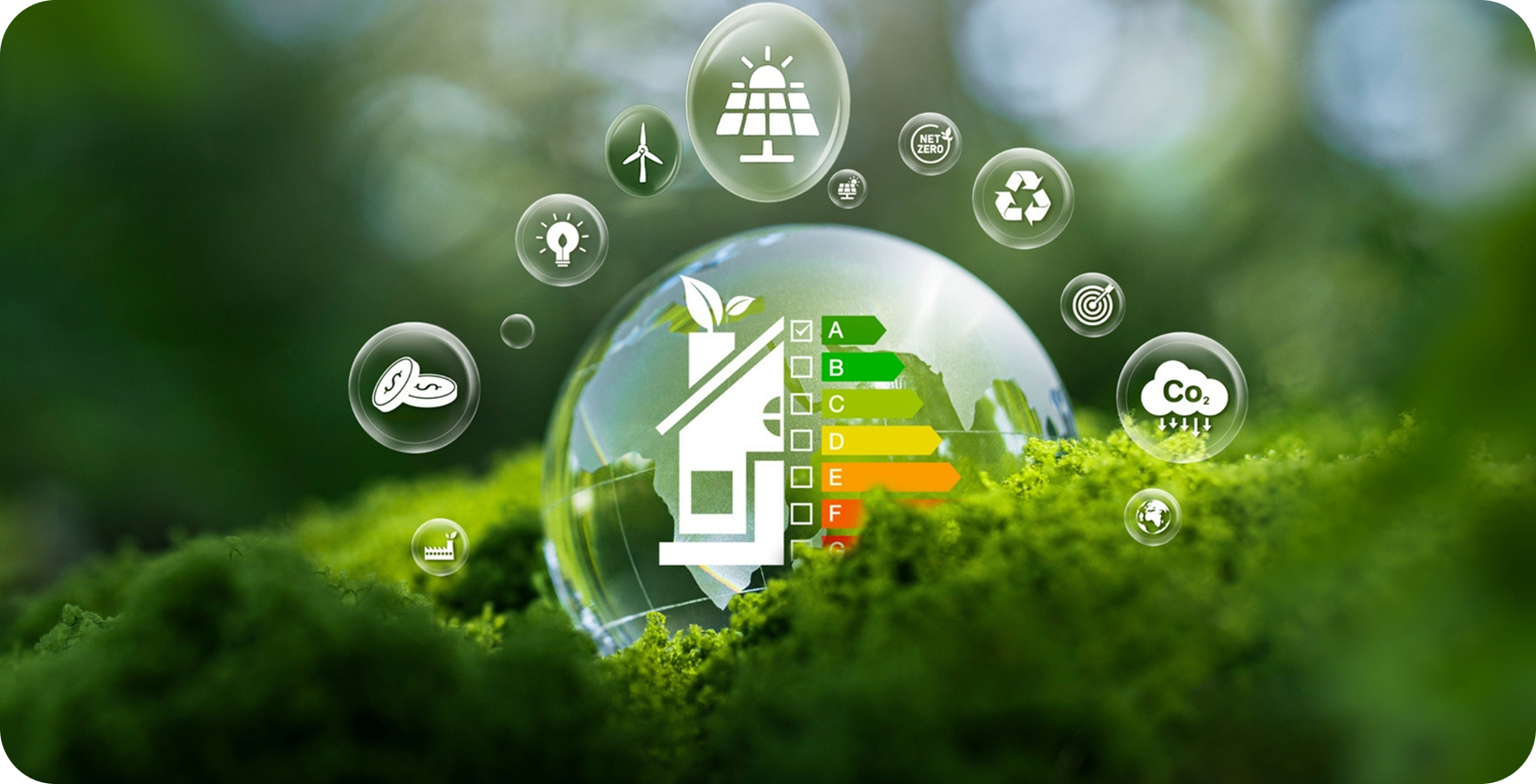 Footer Section Image