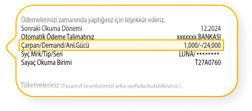Fatura Kullanımı