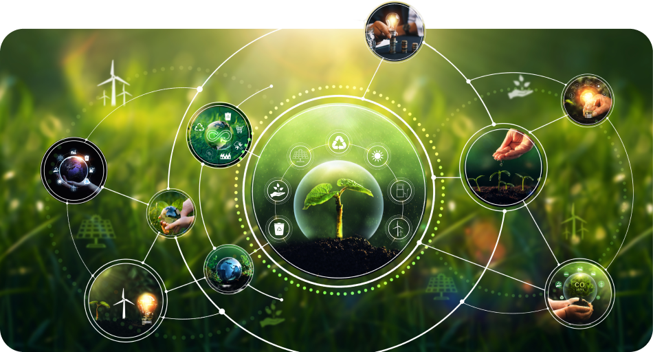 Footer Section Image