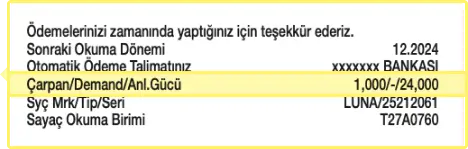 Fatura zoom görseli